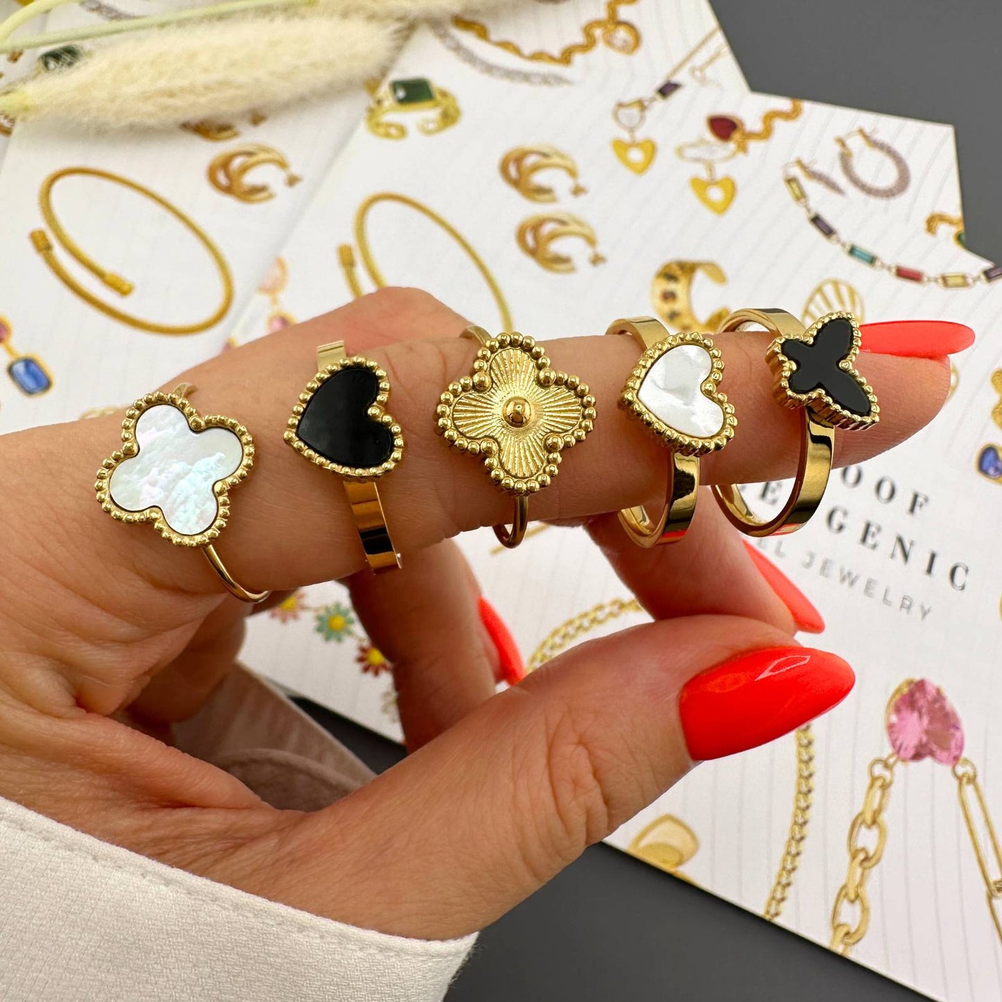 SET COLLAR & ANILLO