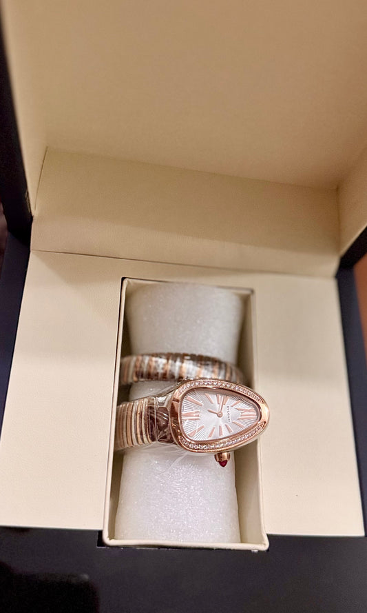 BVL Silver and Gold Watch